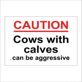 GE454 Caution Cows With Calves Can Be Aggressive Sign
