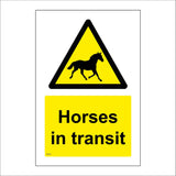 WT479 Horses In Transit