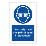 MA944 You Only Have One Pair Of Eyes Protect Them