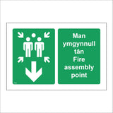 FS585 Man Ymgynnull Tan Fire Assembly Point Down Arrow