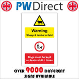 MU394 Warning Sheep Lambs In Field Dogs On Leads All Times