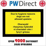 PR591 Oherwydd Rhesymau Hylendid Ni Chaniateir Cwn I Fynyr