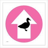 WM084F Ducks North Staright Ahead Arrow Circle Pink Wildlife