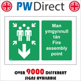 FS585 Man Ymgynnull Tan Fire Assembly Point Down Arrow