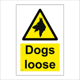 WT507 Dogs Loose