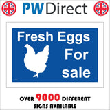 TR914 Fresh Eggs For Sale