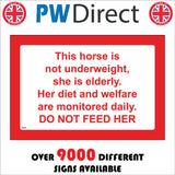 TR949 Horse Not Underweight Diet Welafe Monitored Do Not Feed