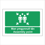 FS502 Man Ymgynnull Tan Assembly Point Bilingual Cmyraeg