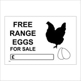 TR917 Free Range Eggs For Sale