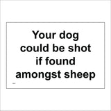 PR617 Your Dog Could Be Shot If Found Amongst Sheep