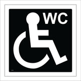 TS243 Disabled WC