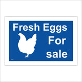 TR914 Fresh Eggs For Sale
