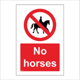 PR619 No Horses