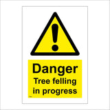 TR802 Danger Tree Felling In Progress