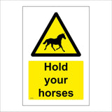 WT481 Hold Your Horses