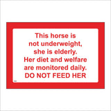 TR949 Horse Not Underweight Diet Welafe Monitored Do Not Feed