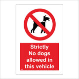 PR525 Strictly No Dogs Allowed In This Vehicle
