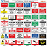 TR914 Fresh Eggs For Sale