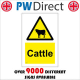 WT504 Cattle Livestock