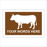 TR911 Bull Your Words Here Custom Made To Order Personalise