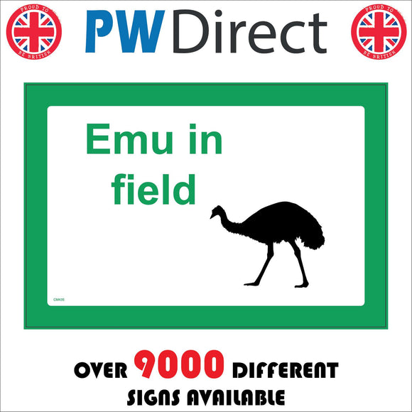 CM435 Emu In Field