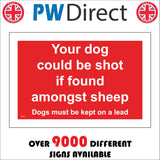 PR616 Your Dog Could Be Shot Found Amongst Sheep Keep On Lead