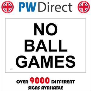 GE261 No Ball Games Sign