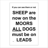 MA608 Whether You See Them Or Not Sheep Are Now On The Moor All Dogs Must Be On Leads Sign
