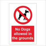 PR289 No Dogs Allowed In The Grounds Sign with Red Circle Diagonal Line Dog