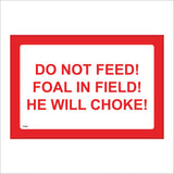 PR426 Do Not Feed Foal In Field He Will Choke