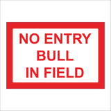PR432 No Entry Bull In Field