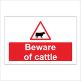 TR509 Beware Of Cattle Cows Farm Grid Road Footpath