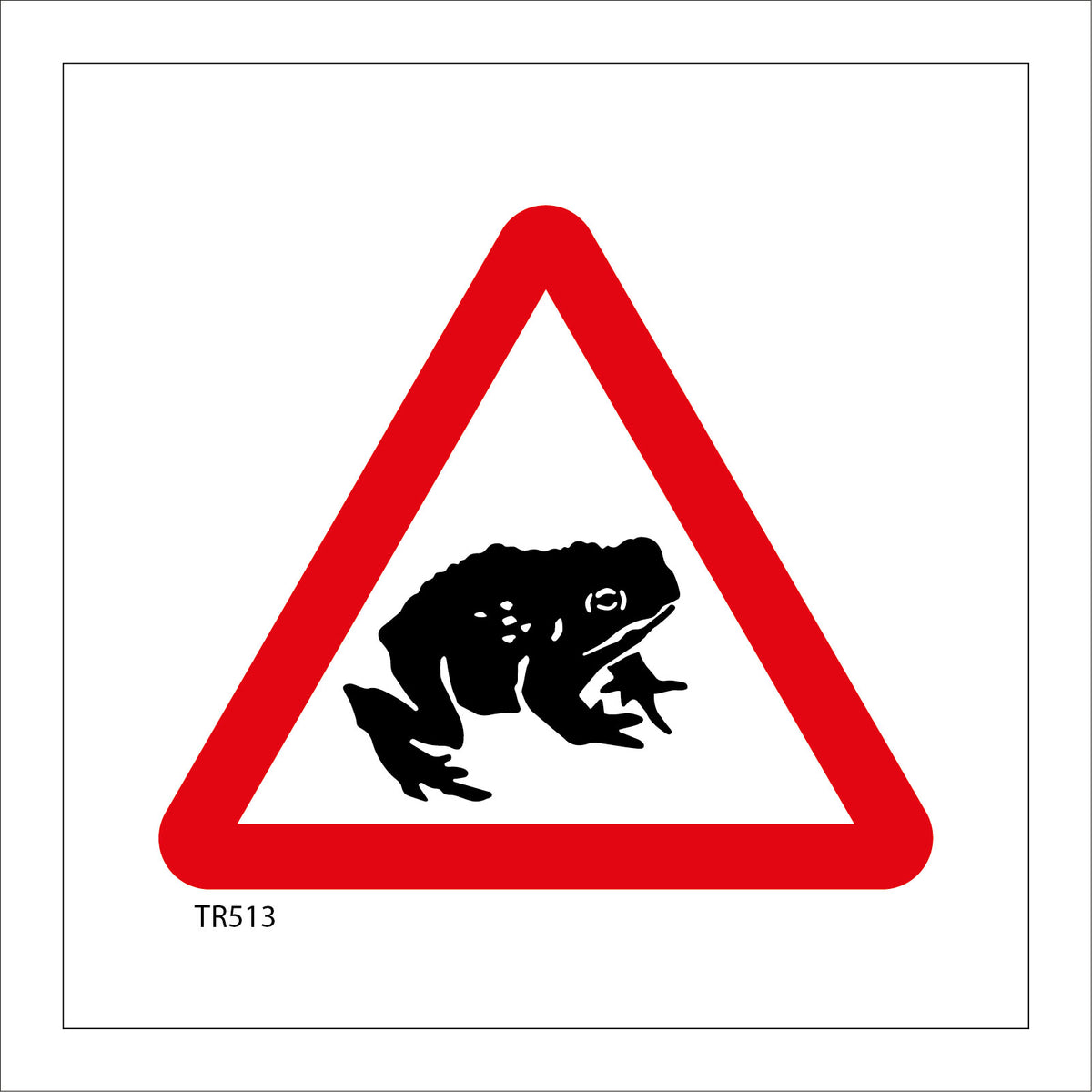 Frog Toad On Road Beware Protection Area – PWDirect