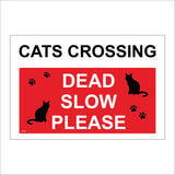 TR547 Cats Crossing Dead Slow Please