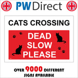 TR547 Cats Crossing Dead Slow Please