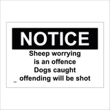 TR589 Notice Sheep Worrying Is An Offence Dogs Caught Shot