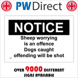 TR589 Notice Sheep Worrying Is An Offence Dogs Caught Shot