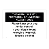 TR591 Animal Act Dog Under Control Worrying Livestock Shot
