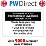TR591 Animal Act Dog Under Control Worrying Livestock Shot