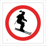 TR645 Skiers Skiing Ski Winter Sports Snow Activity Recreational