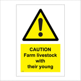 WT244 Caution Farm Livestock With Their Young Protective Chase