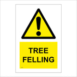 WT281 Tree Felling