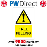 WT281 Tree Felling