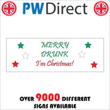 XM306 Merry Drunk Im Christmas