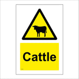 WT504 Cattle Livestock