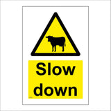 WT503 Slow Down Livestock