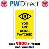 SE193 You Are Being Watched