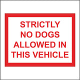 VE348 Strictly No Dogs Allowed In Vehicle Pets Canine