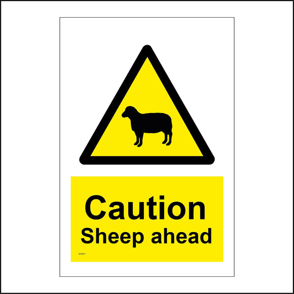 WS621 Caution Sheep Ahead Sign with Triangle Sheep