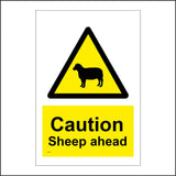 WS621 Caution Sheep Ahead Sign with Triangle Sheep